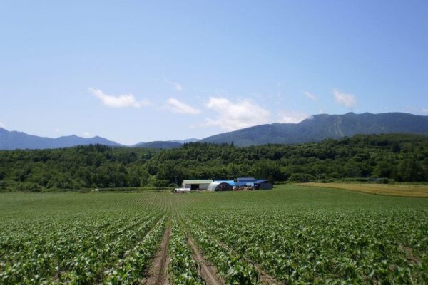 Okubo Farm