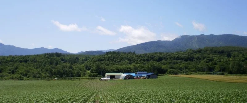 大久保農場