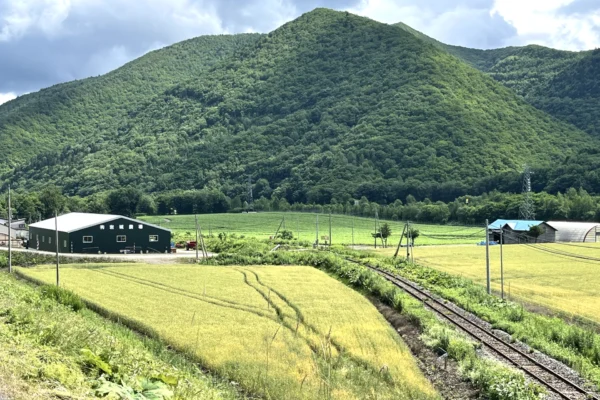 有限会社岩城農場